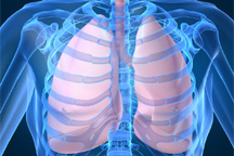 Xray of a pair of lungs.