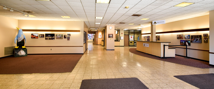 cafaro-lobby-elm-street-entrance-upper-level-ysu