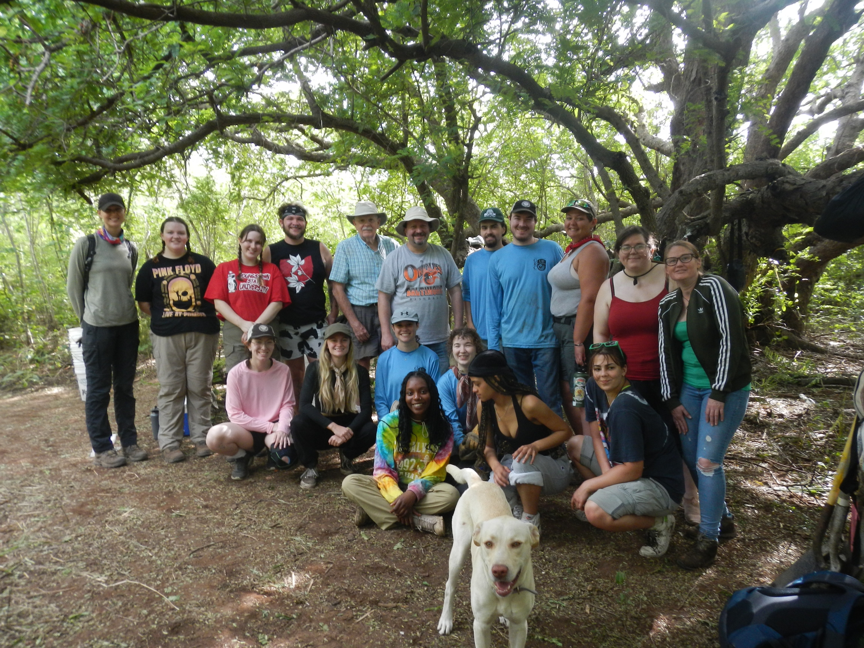 Students taking part in the research trip to the Bahamas