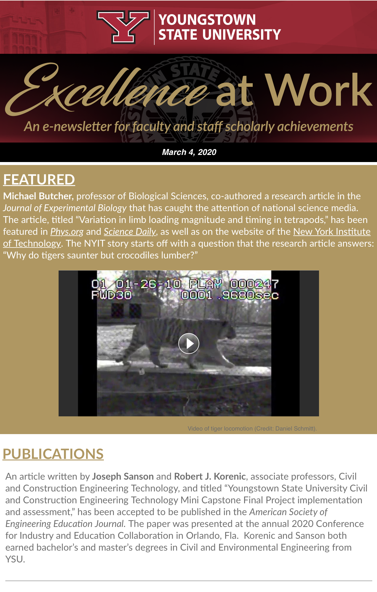 Thumbnail for Volume 2, Issue 2 of the Excellence at Work Newsletter