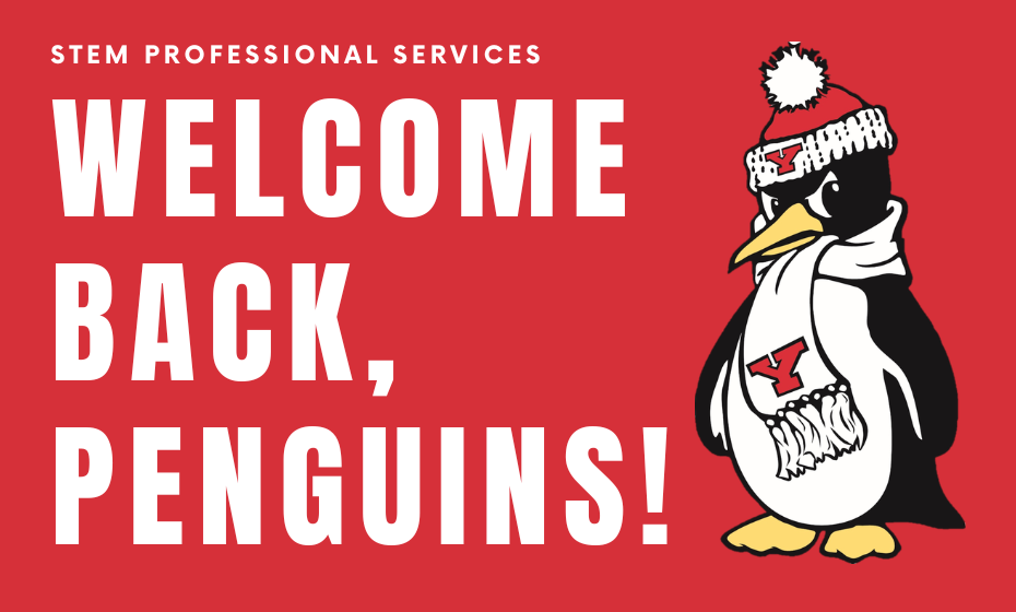Welcome Back, Penguins