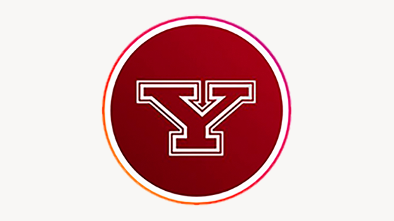 y logo