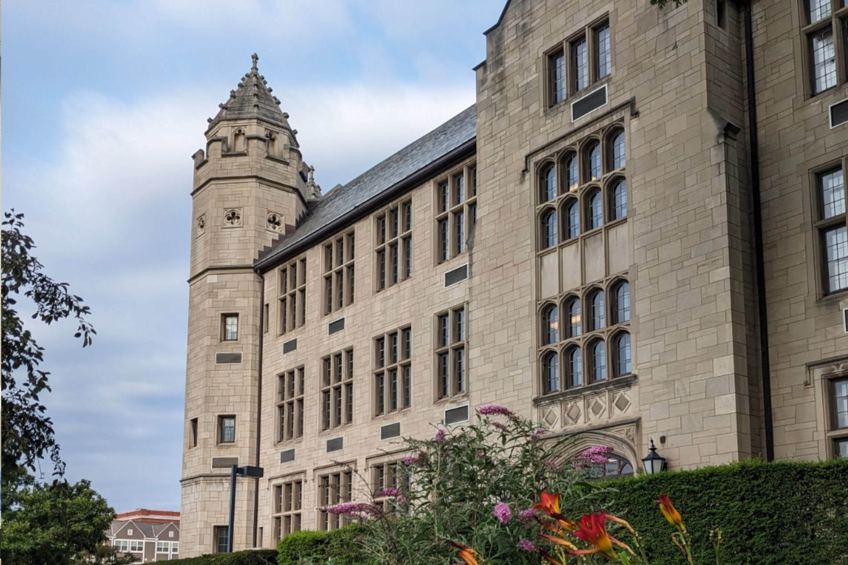 Undergraduate Majors, Minors, and Certificate Programs