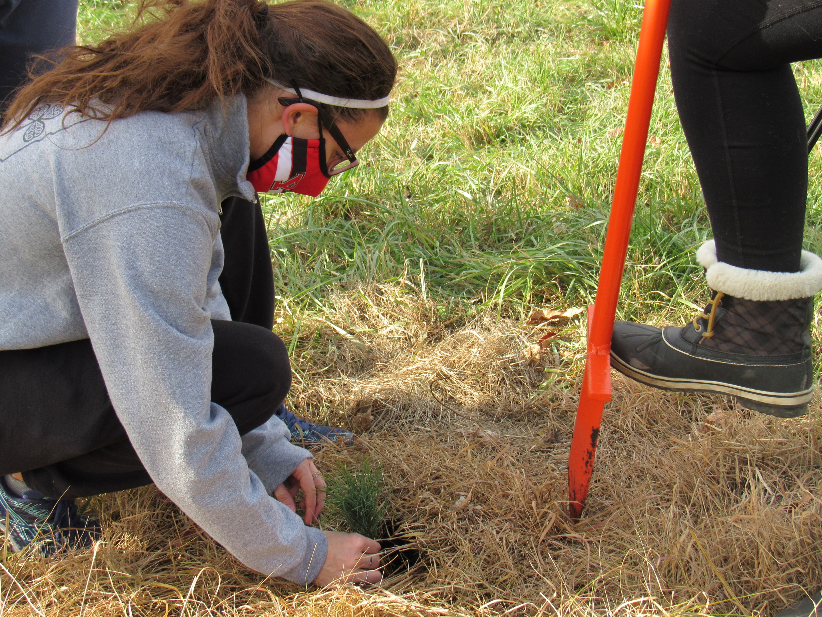 Students planting trees