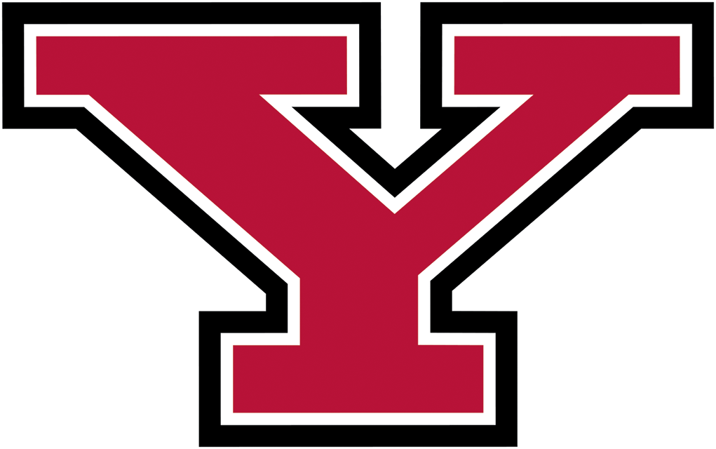 Y logo