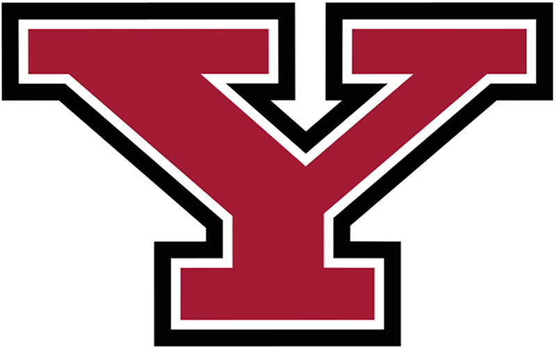 Y-Logo