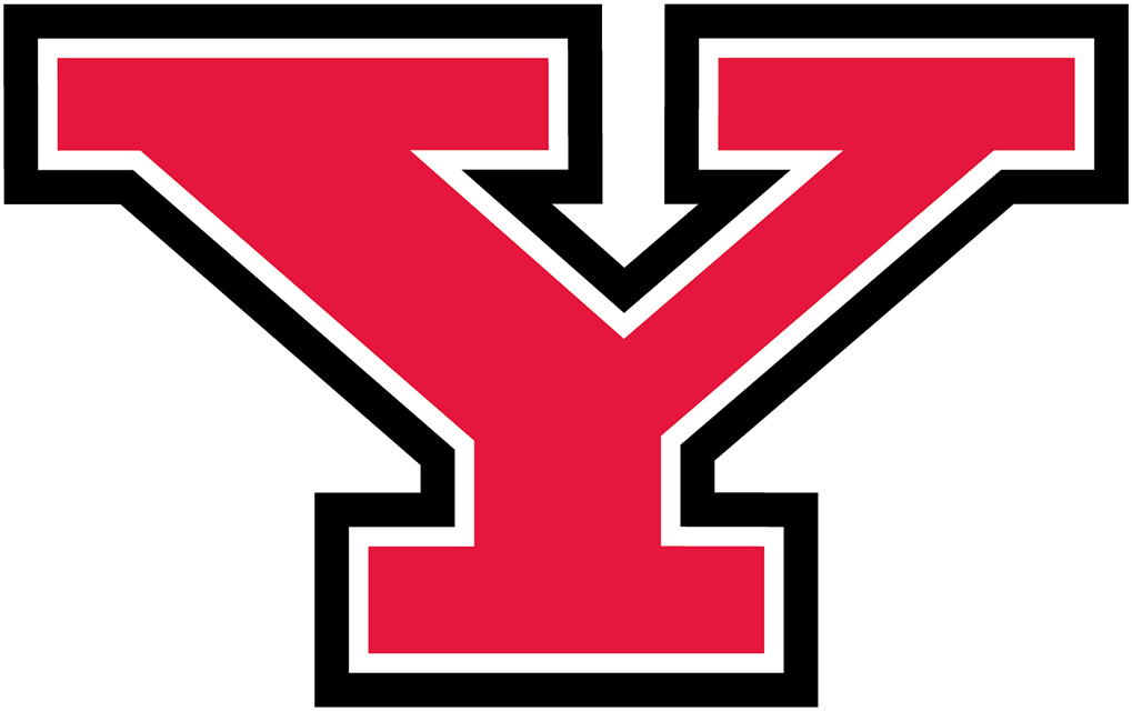 Y Logo