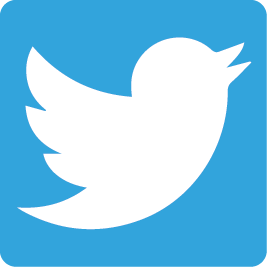 Twitter Icon