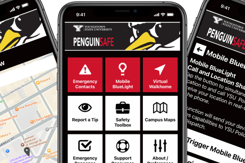 Penguin Safe App