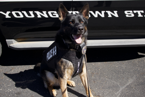 YSU PD K-9 Barkley with his new protective vest