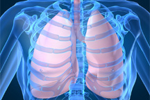 Xray of a pair of lungs.