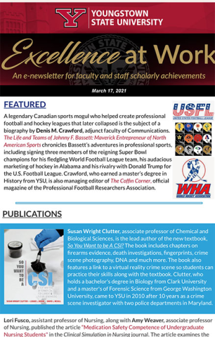 Thumbnail for Volume 2, Issue 7 of the Excellence at Work Newsletter