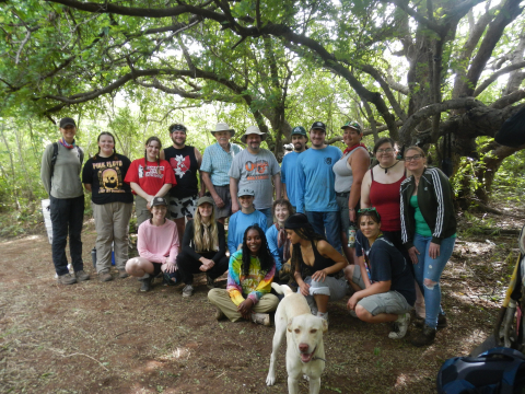 Students taking part in the research trip to the Bahamas