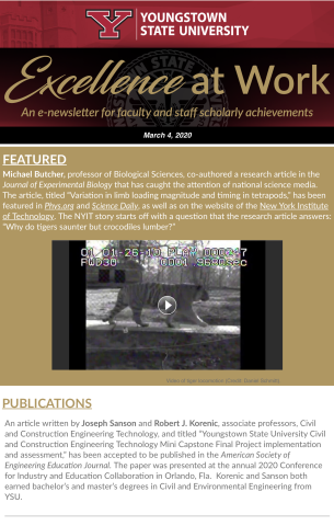 Thumbnail for Volume 2, Issue 2 of the Excellence at Work Newsletter