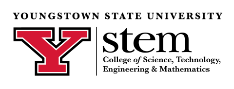 STEM Y serif logo.w. sm college.png