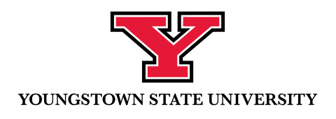 University Y 1 line Serif horz logo.png