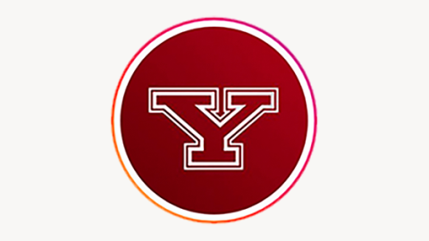 y logo