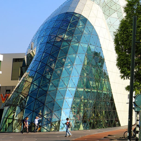 fontys univeristy