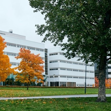 Jyväskylä university