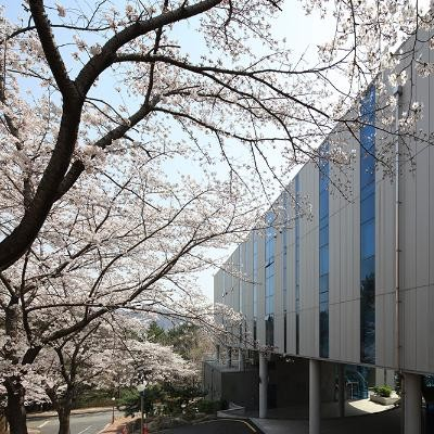 pusan univeristy
