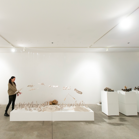 Art installation at McDonough Museum of Art