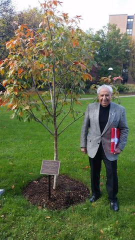 Meshel tree dedication-1