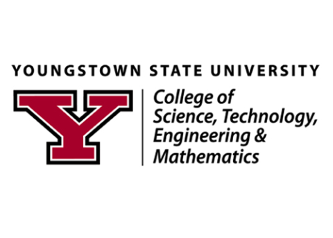 STEM logo