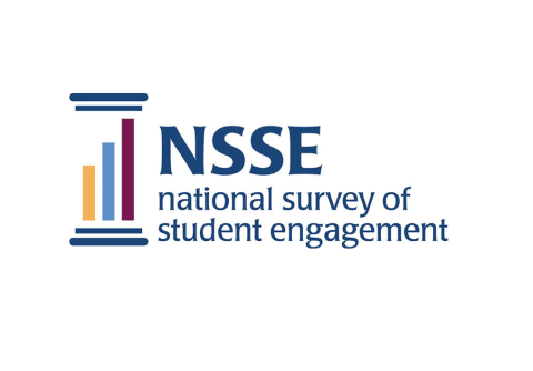 NSSE Logo