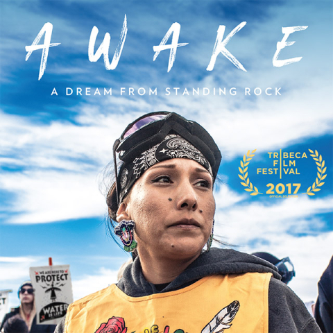 Awake movie poster