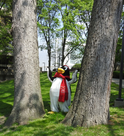 Pete The Penguin 