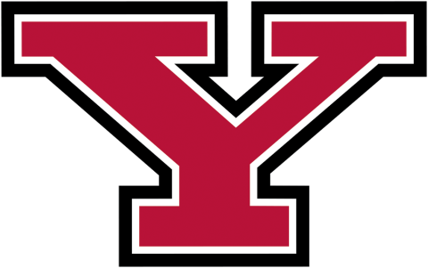 Y logo