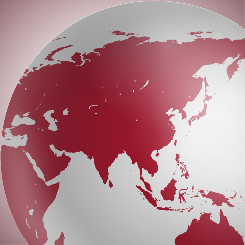 New Asian Studies Program
