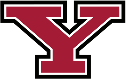 Y-Logo