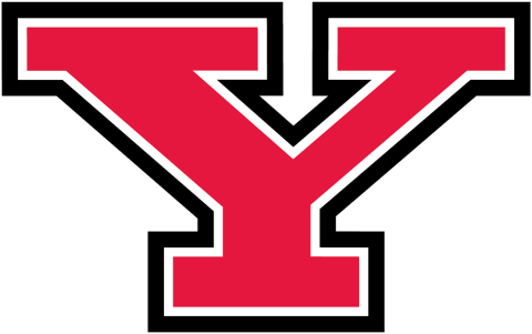 Y Logo