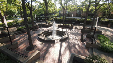 Fountain Area