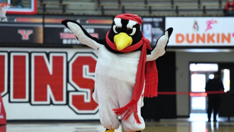 YSU penguin