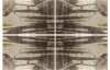 Passing Perceptions featuring the work of Missy McCormick